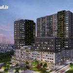 پروژه اوپتیمست کادیکوی