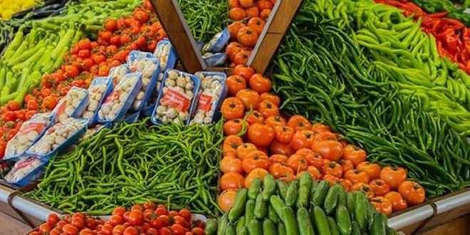 افزایش چشمگیر صادرات منطقه غرب مدیترانه