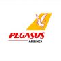 اعطای ۲ جایزه بین‌المللی به هواپیمایی پگاسوس