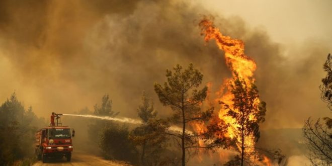 ارتش ترکیه برای مهار آتش سوزی جنگل‌های آنتالیا وارد عمل شد
