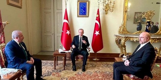 دیدار قالیباف و اردوغان / تاکید بر توسعه روابط ایران_ترکیه