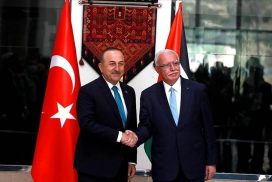 تاکید چاووش‌اوغلو بر حمایت ترکیه از فلسطین