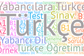 افعال مهم زبان ترکی استانبولی