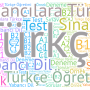 افعال مهم زبان ترکی استانبولی