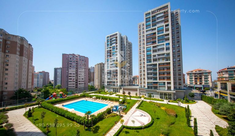 الیت لایف بیلیکدوزو